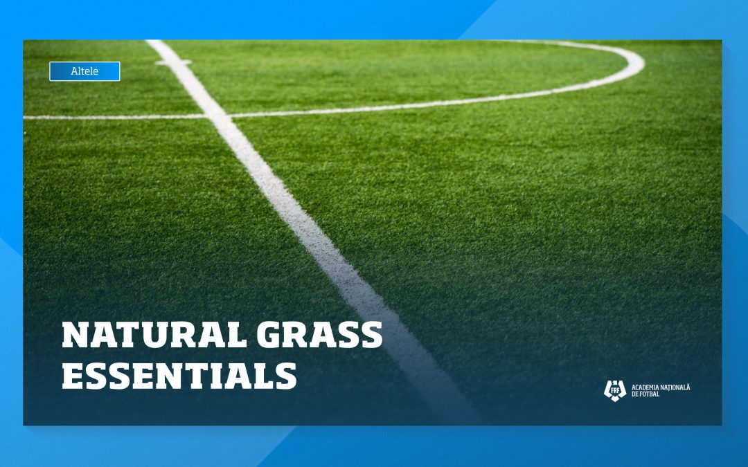 Curs dedicat întreținerii terenurilor de fotbal: Natural Grass Essentials